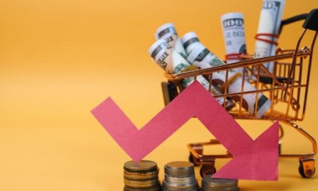Gambar 1. Online shopping cerdas di masa deflasi