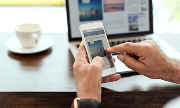 Gambar 1. Peluang bisnis digital yang menjanjikan