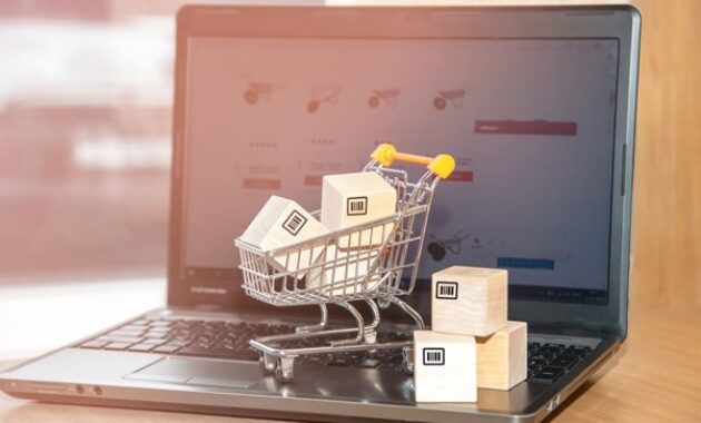 Gambar 1. Perbedaan e-commerce dan marketplace