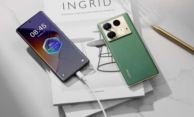 Gambar 1. Infinix terbaik dengan kamera jernih