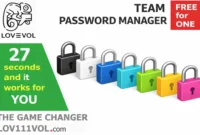 What Is a Team Password Manager? A Guide for Small Teams 4 team-password-manager